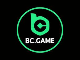 Exploring the BC.Game Platform A Comprehensive Guide to Online Gaming